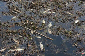 纺织印染无硅消泡剂到底有哪些优点？如何去使用？