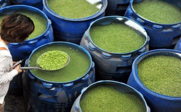 洗洁精消泡剂的使用案例