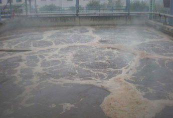 生化水消泡剂的解决方案