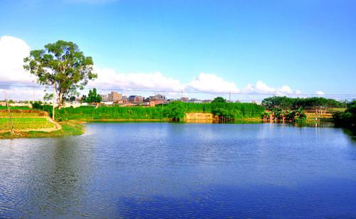 泡沫不可怕，可怕的是你不识清洗污水消泡剂