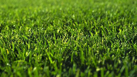 对于品质的执着连聚乙烯醇消泡剂都有，那你呢？