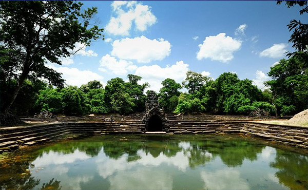 生物水处理消泡剂YYDS