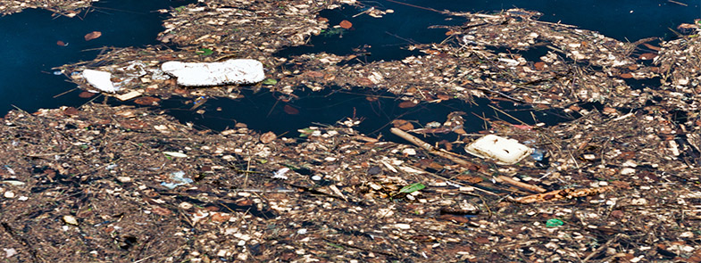 垃圾渗滤液消泡剂