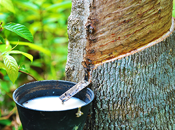 天然乳胶消泡剂—提升工艺流程的不可或缺之物