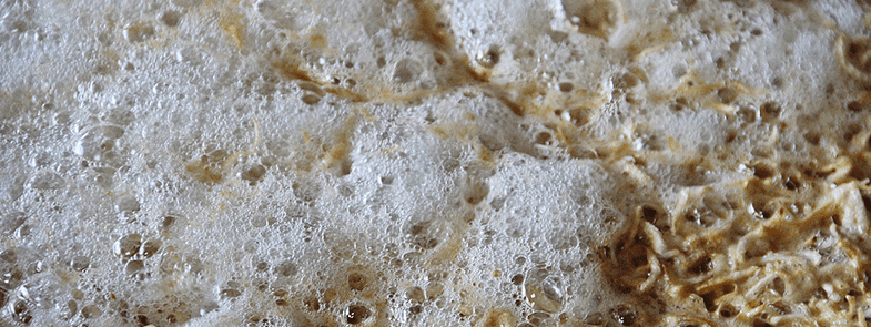 食品发酵消泡剂