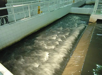 日化厂污水消泡剂